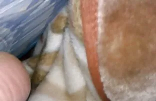 XXX يأخذ عرب نار قصص سكس روح المخرج على سطح المكتب