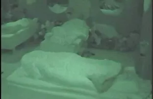 XXX الجنس الخشن أمام عرب سيكس نار نافذة