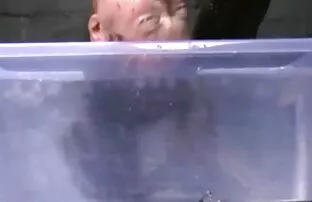 XXX مدرب مزق الأمين أجاثا في غرفة نار سكس عرب صغيرة