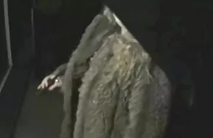 XXX ميك عرب نار hd لا يزال تمزيق الدجاج صوفي ريان